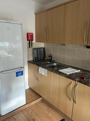 Shoreditch Hoxton Large 3 Bed Garden Flat Apartment London